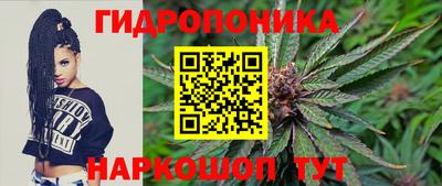 прущие грибы Гусев
